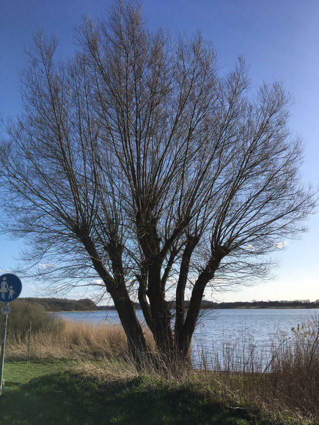 Ferienwohnung Am Noor Nahe Schleswig Und Dem Wikingerdorf Haithabu Fahrdorf  Buitenkant foto