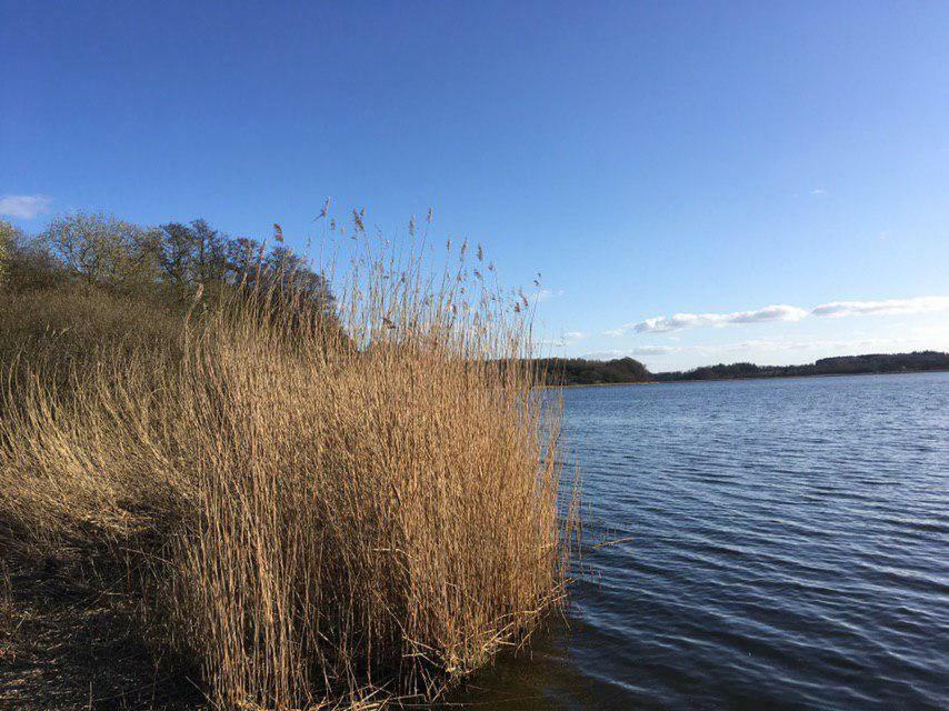 Ferienwohnung Am Noor Nahe Schleswig Und Dem Wikingerdorf Haithabu Fahrdorf  Buitenkant foto