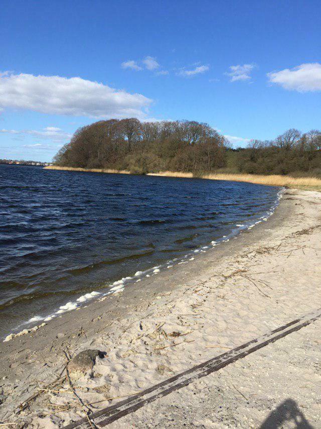 Ferienwohnung Am Noor Nahe Schleswig Und Dem Wikingerdorf Haithabu Fahrdorf  Buitenkant foto