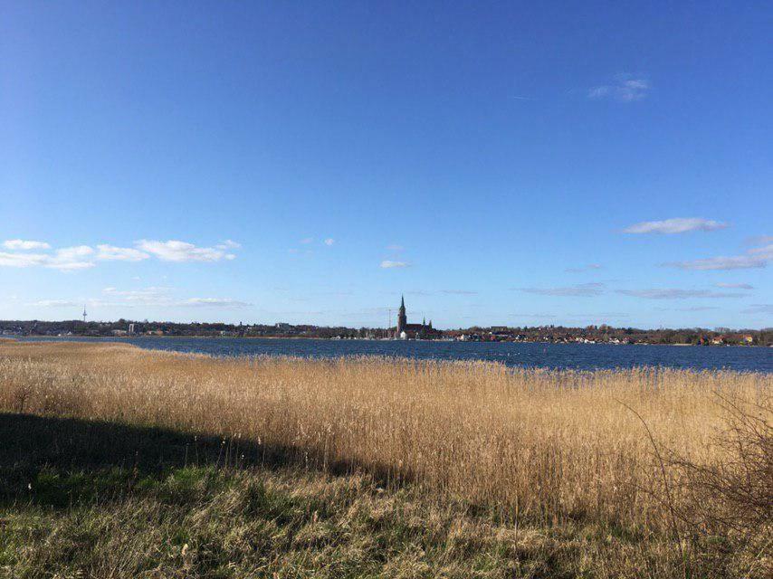Ferienwohnung Am Noor Nahe Schleswig Und Dem Wikingerdorf Haithabu Fahrdorf  Buitenkant foto